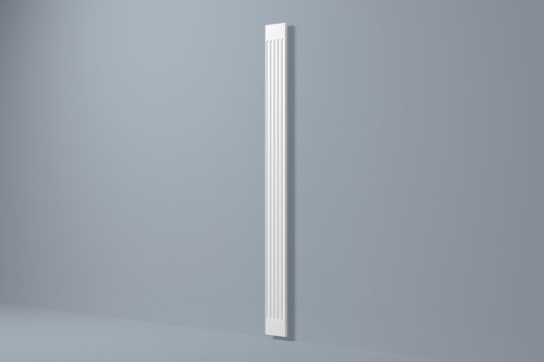 trzon PP2