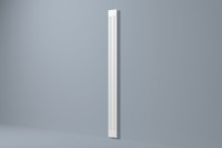 trzon PP2