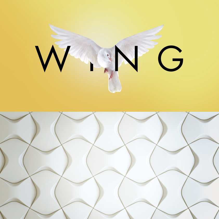 dekoracja ścienna WING